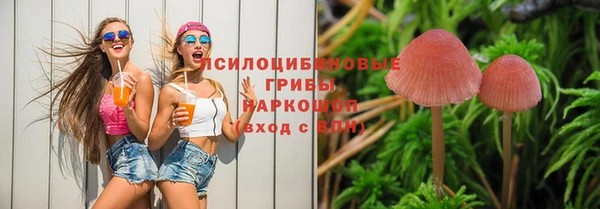 амфетамин Няндома